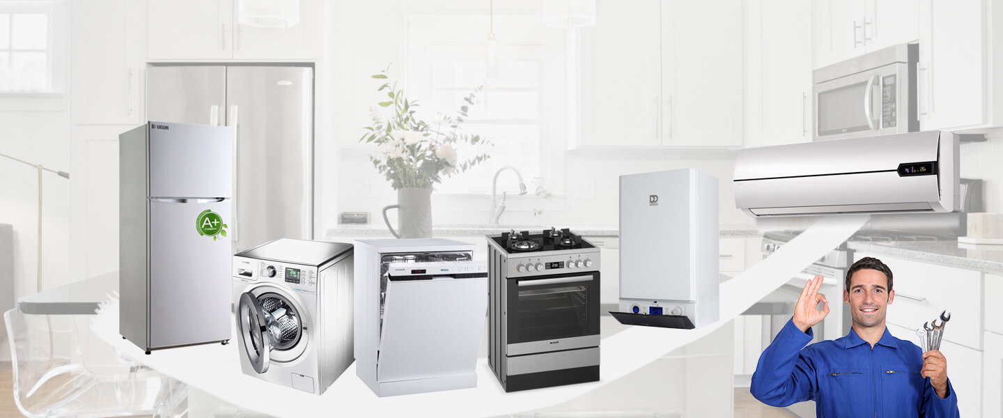 Sason Electrolux Servisi